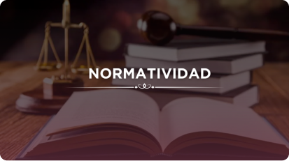 NORMATIVIDAD